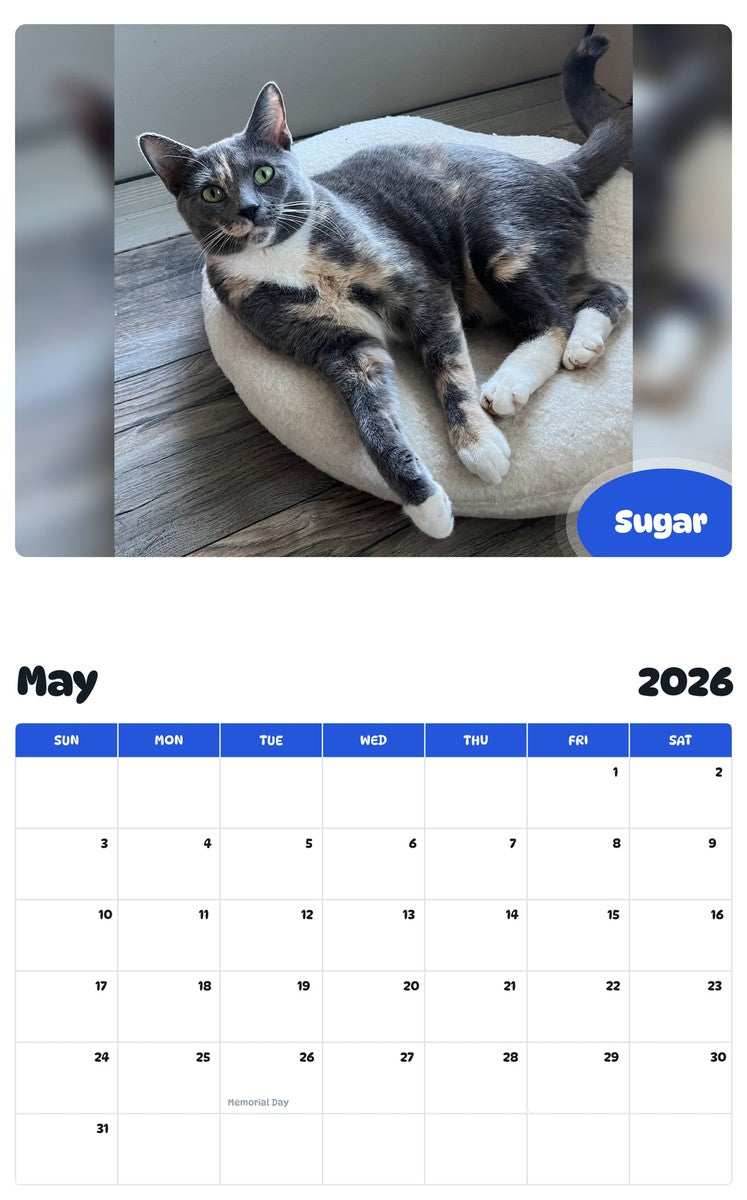 2026 - 2027 Sugar - Pawidols Pet Calendar