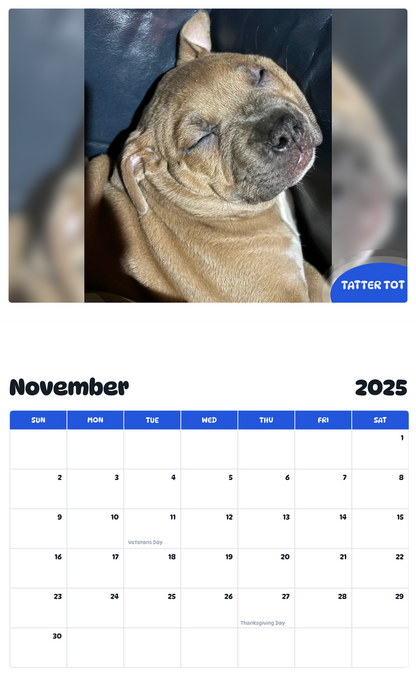 July 2025 - June 2026 Tatter Tot - Pawidols Pet Calendar