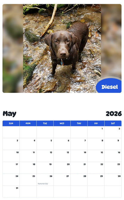 2026 - 2027 Diesel - Pawidols Pet Calendar