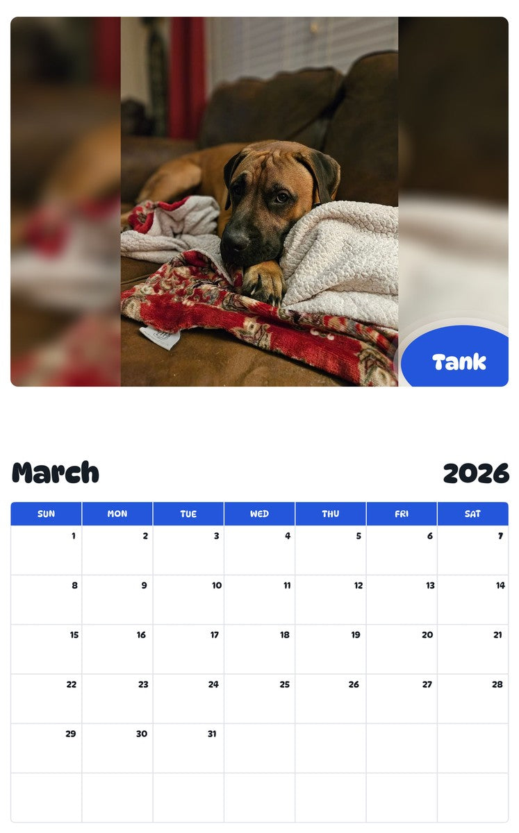 November 2025 - October 2026 Tank - Pawidols Pet Calendar