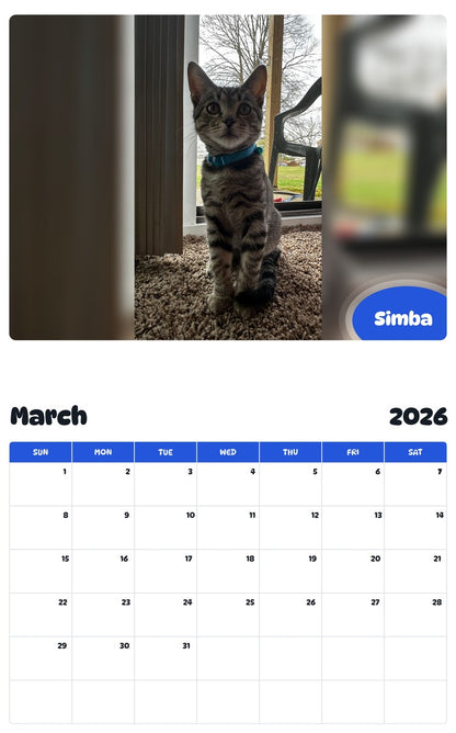 November 2025 - October 2026 Simba - Pawidols Pet Calendar