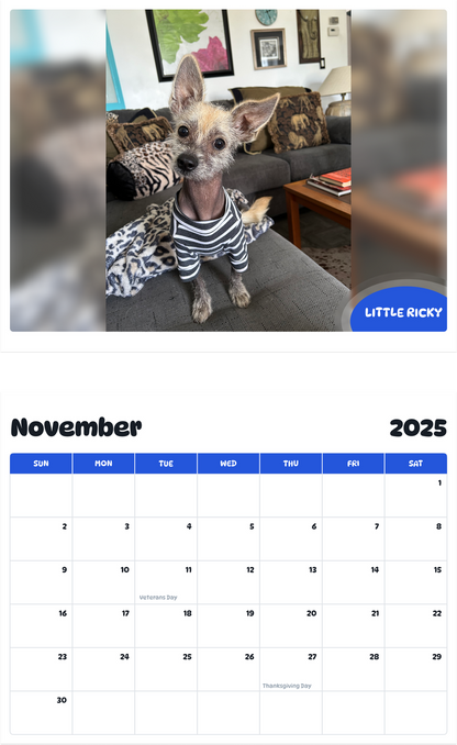 July 2025 - June 2026 Little Ricky - Pawidols Pet Calendar