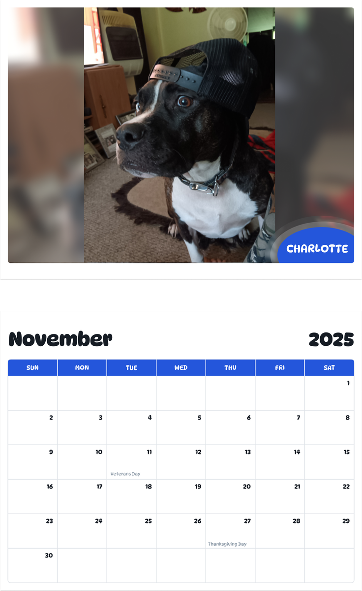 July 2025 - June 2026 Charlotte - Pawidols Pet Calendar
