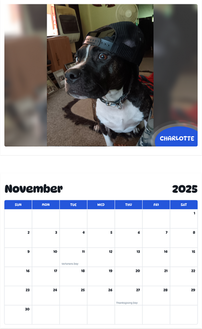 July 2025 - June 2026 Charlotte - Pawidols Pet Calendar