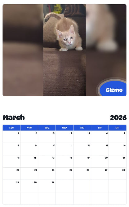 November 2025 - October 2026 Gizmo - Pawidols Pet Calendar
