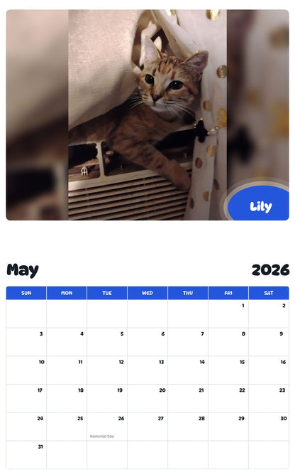 2026 - 2027 Lily - Pawidols Pet Calendar