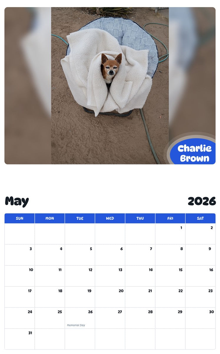 2026 - 2027 Charlie Brown - Pawidols Pet Calendar