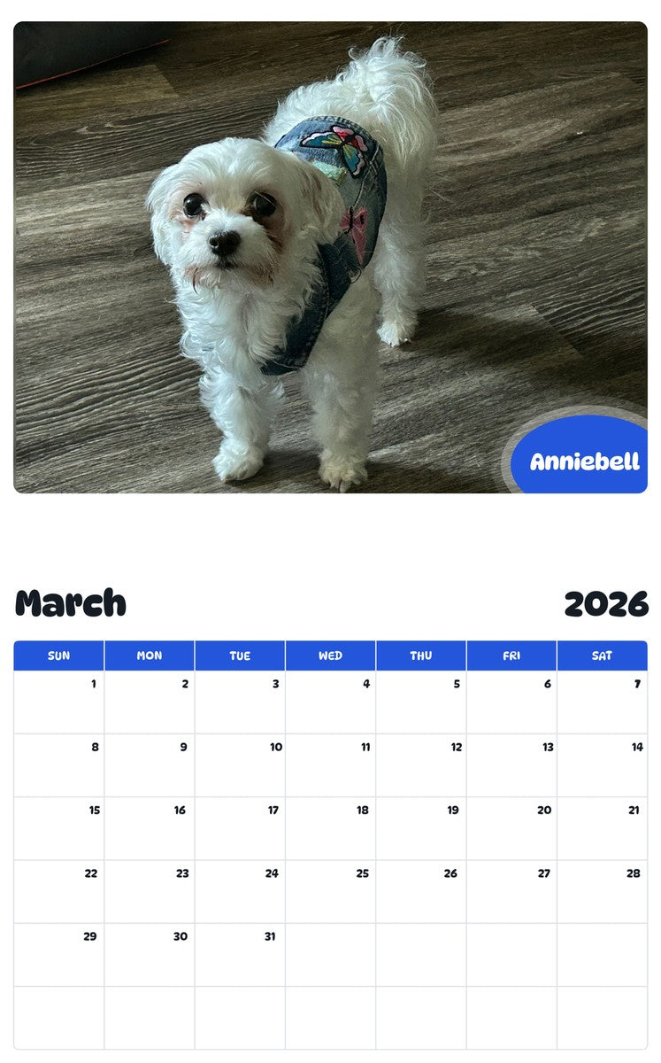 November 2025 - October 2026 Anniebell - Pawidols Pet Calendar