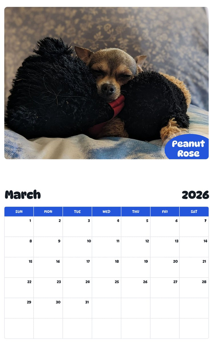 November 2025 - October 2026 Peanut Rose - Pawidols Pet Calendar