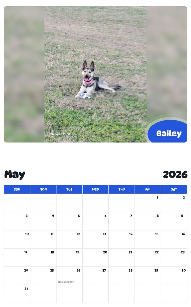 2026 - 2027 Bailey - Pawidols Pet Calendar