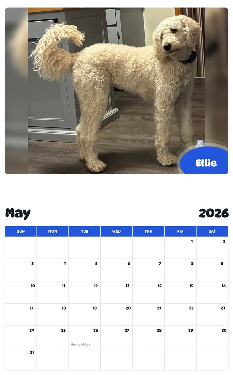 2026 - 2027 Ellie - Pawidols Pet Calendar
