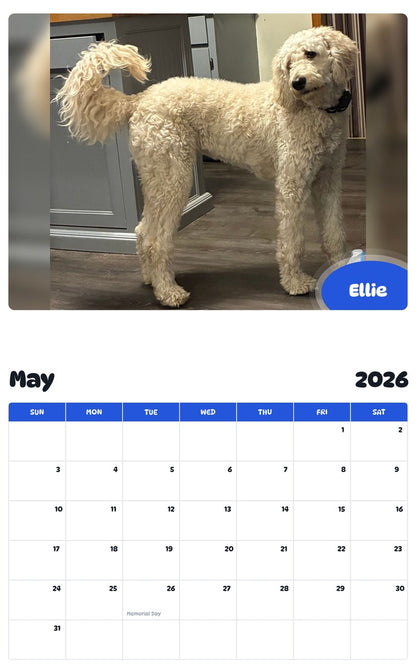 2026 - 2027 Ellie - Pawidols Pet Calendar
