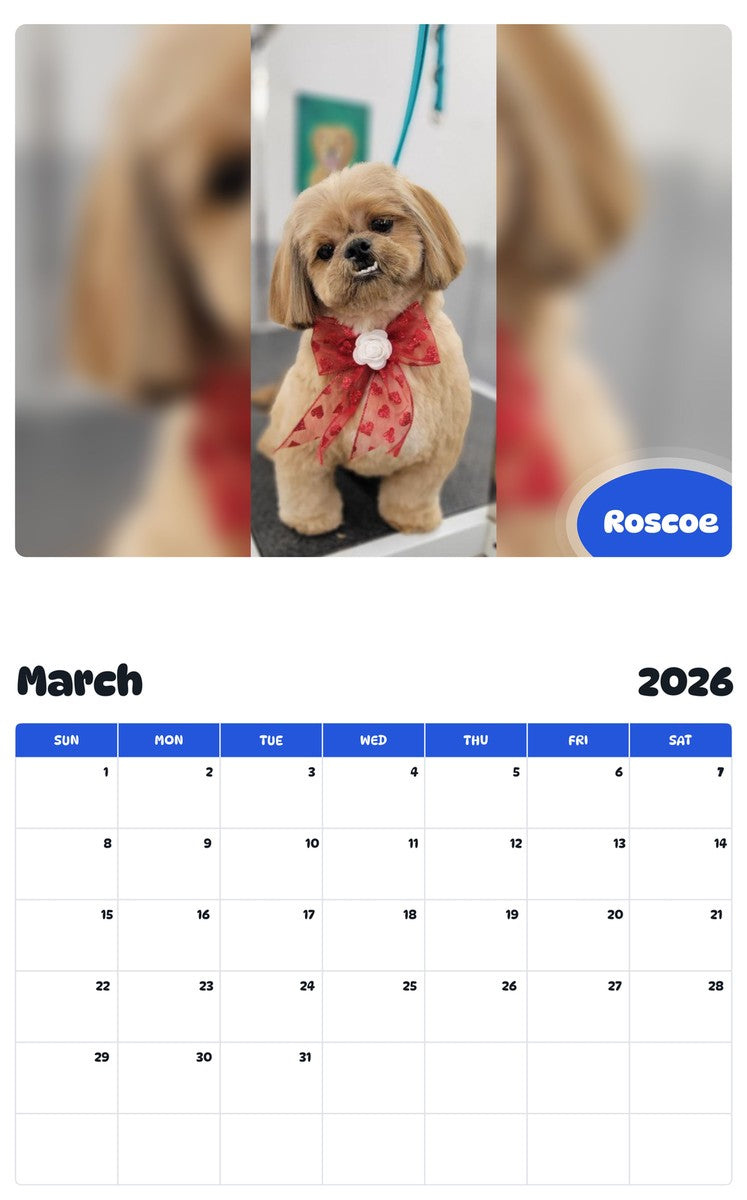 November 2025 - October 2026 Roscoe - Pawidols Pet Calendar