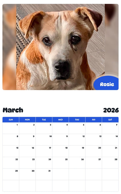 November 2025 - October 2026 Rosie - Pawidols Pet Calendar