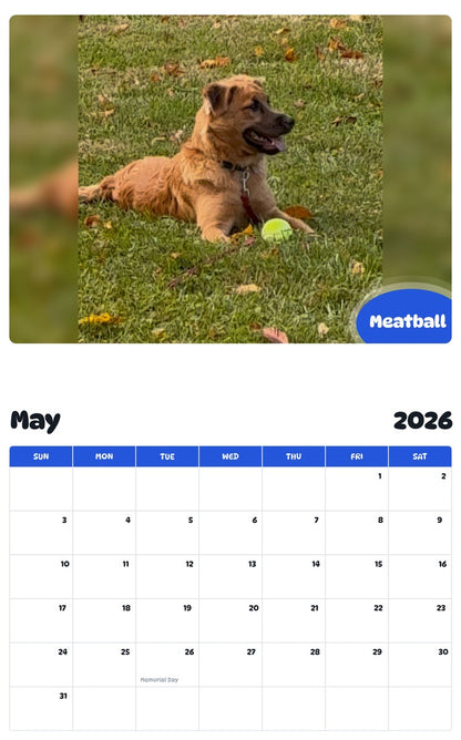 2026 - 2027 Meatball - Pawidols Pet Calendar
