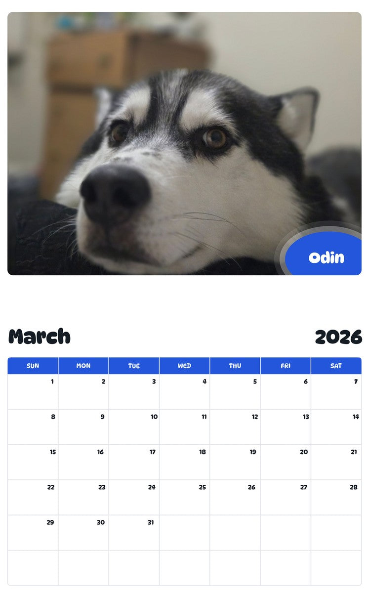 November 2025 - October 2026 Odin - Pawidols Pet Calendar