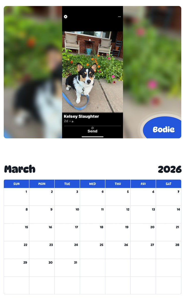 November 2025 - October 2026 Bodie - Pawidols Pet Calendar