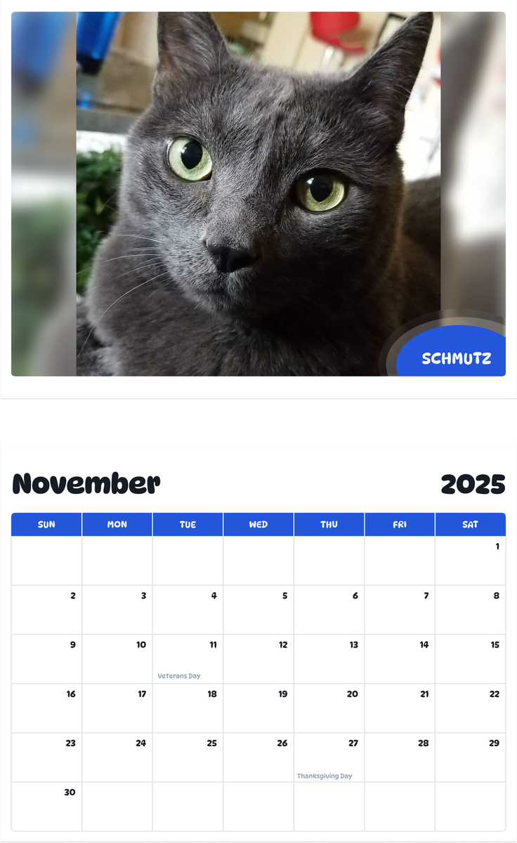 July 2025 - June 2026 SCHMUTZ - Pawidols Pet Calendar