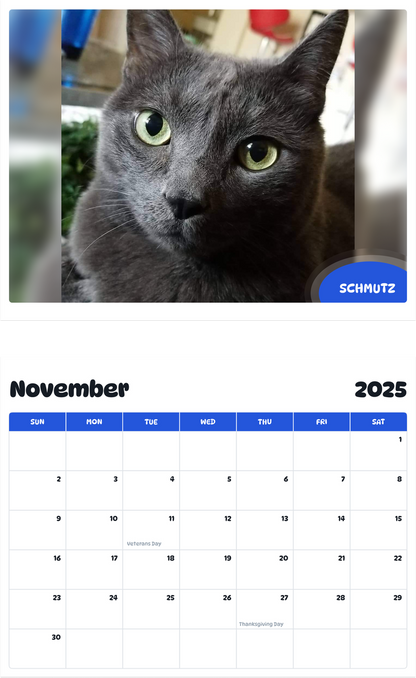 July 2025 - June 2026 SCHMUTZ - Pawidols Pet Calendar
