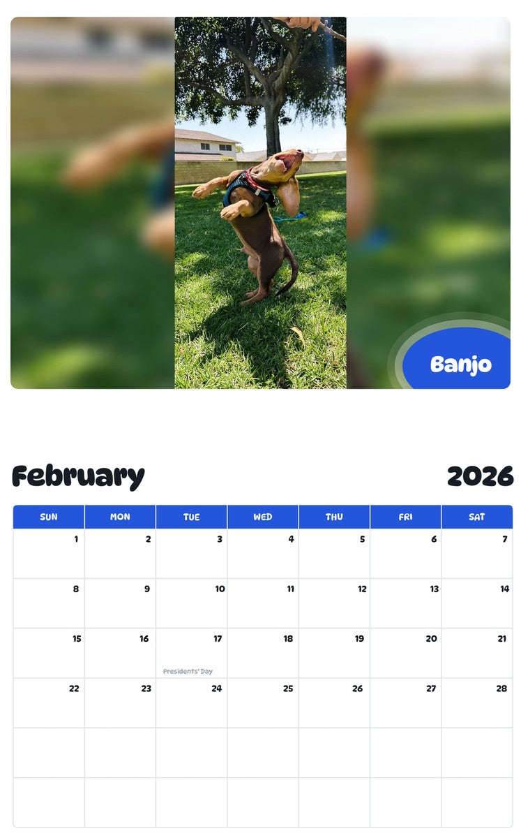 November 2025 - October 2026 Banjo - Pawidols Pet Calendar