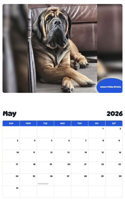 2026 - 2027 Jaxon Philip Ritchie - Pawidols Pet Calendar