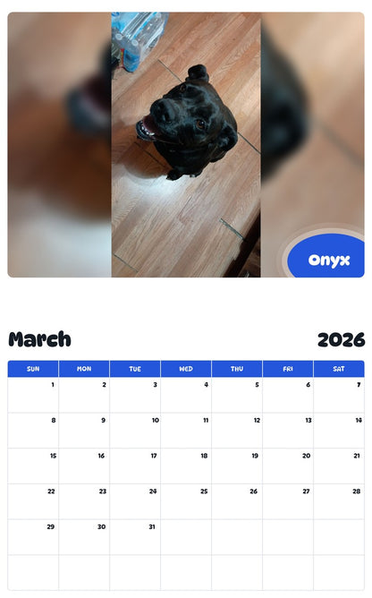 November 2025 - October 2026 Onyx - Pawidols Pet Calendar
