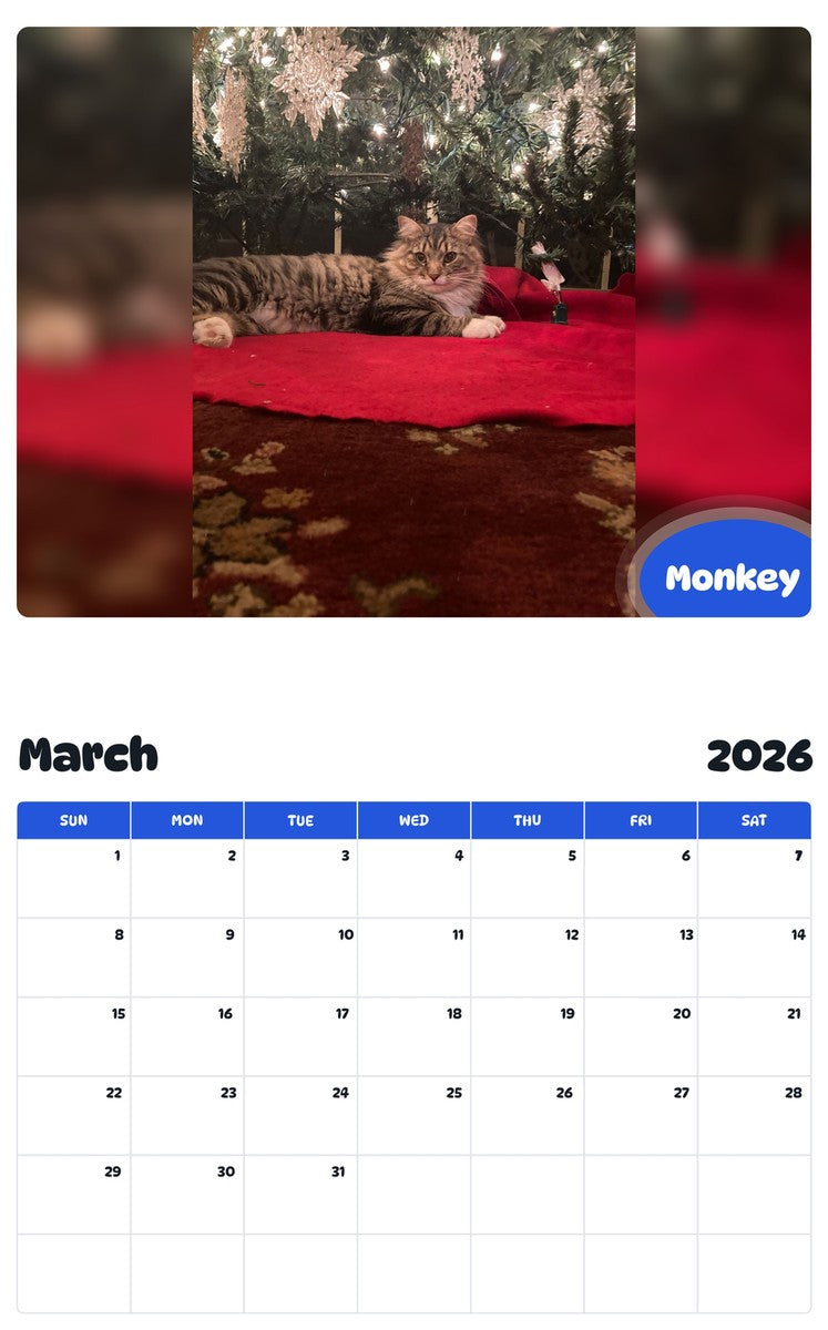 November 2025 - October 2026 Monkey - Pawidols Pet Calendar