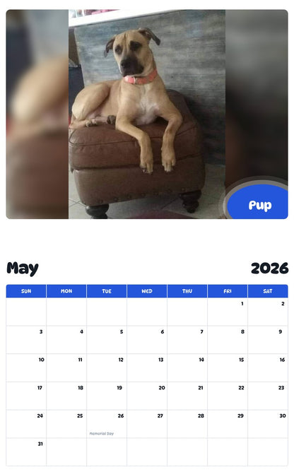 2026 - 2027 Pup - Pawidols Pet Calendar