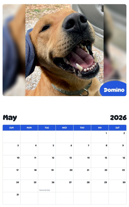 2026 - 2027 Domino - Pawidols Pet Calendar
