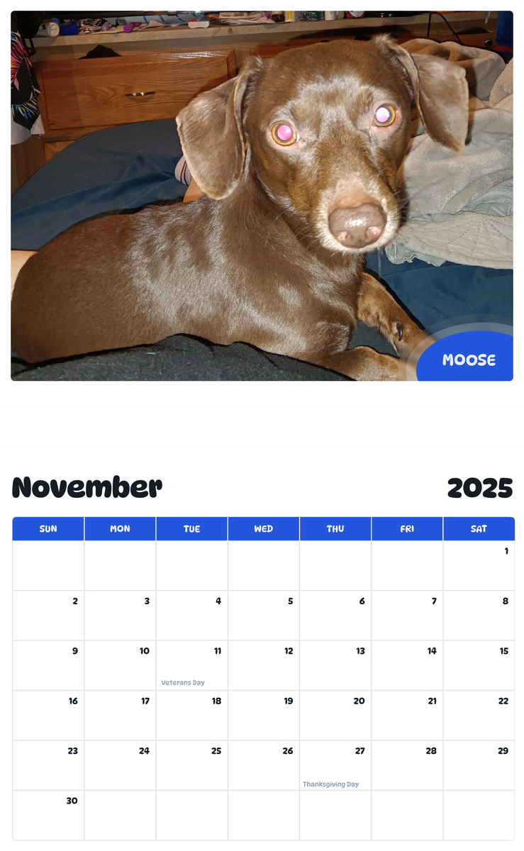 July 2025 - June 2026 Moose - Pawidols Pet Calendar
