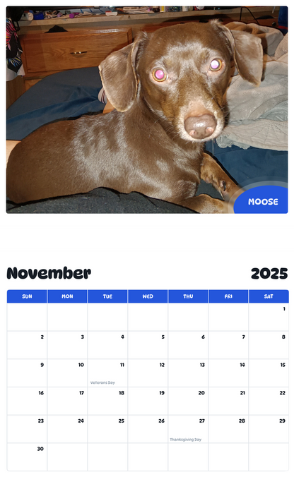 July 2025 - June 2026 Moose - Pawidols Pet Calendar