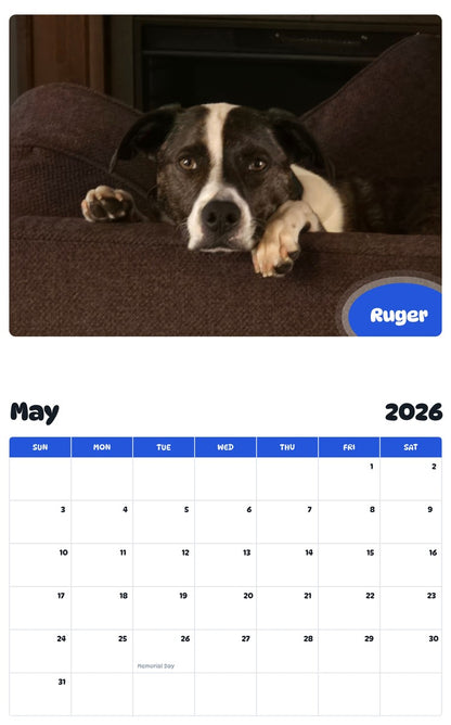 2026 - 2027 Ruger - Pawidols Pet Calendar