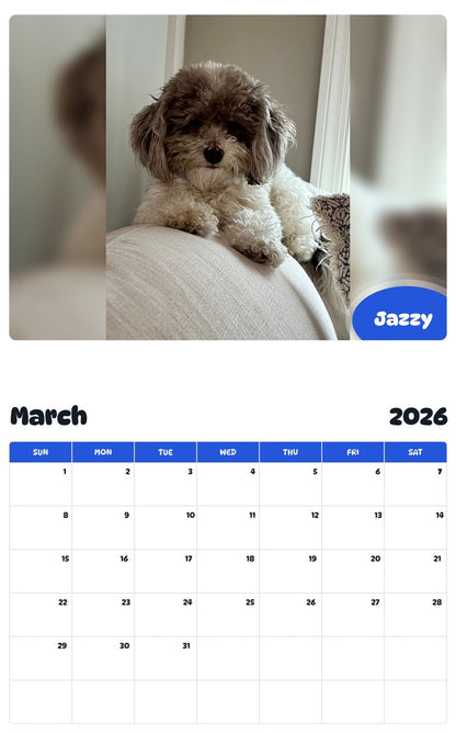 November 2025 - October 2026 Jazzy - Pawidols Pet Calendar