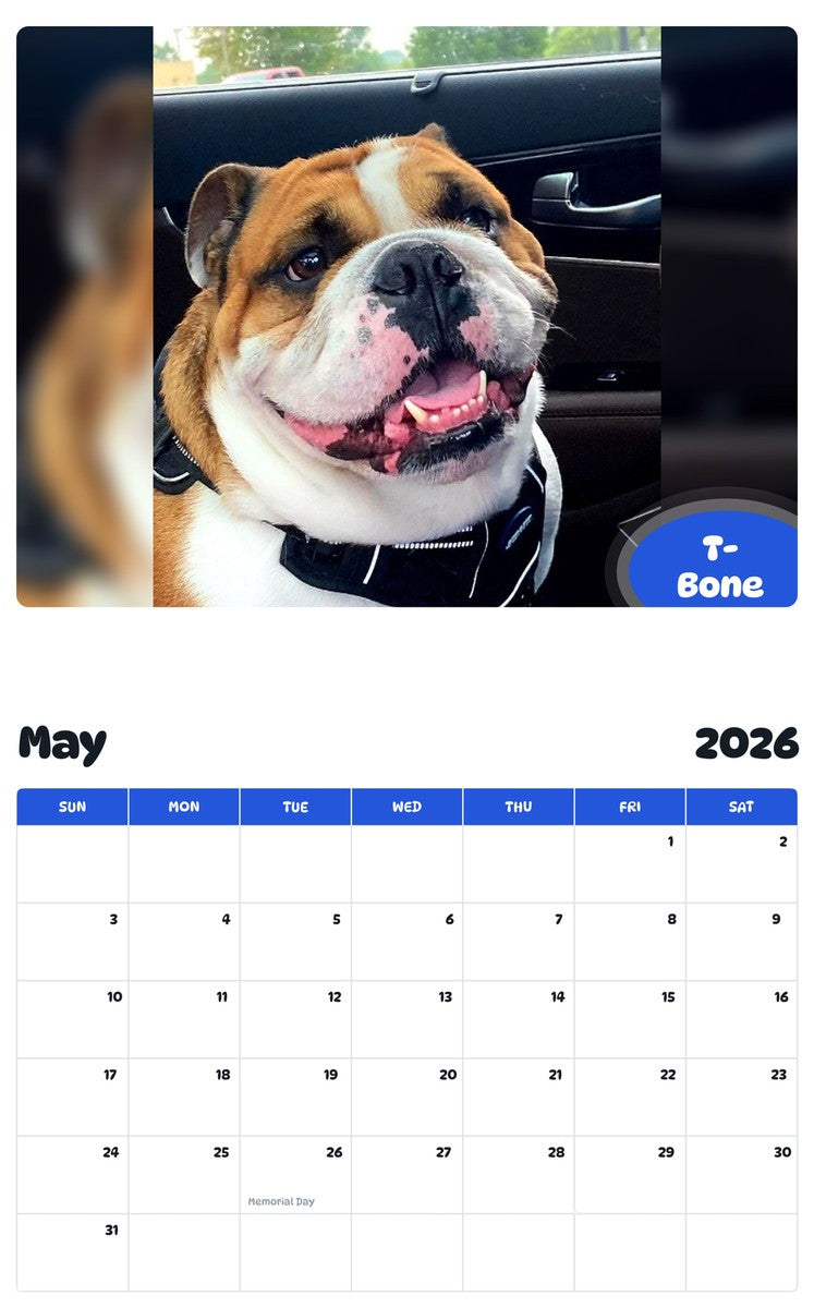 2026 - 2027 T-Bone - Pawidols Pet Calendar