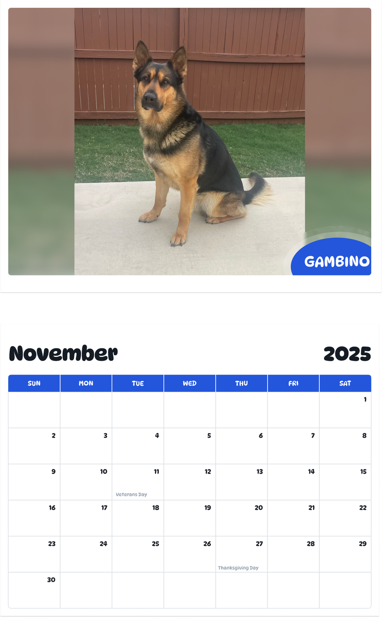 July 2025 - June 2026 Gambino - Pawidols Pet Calendar