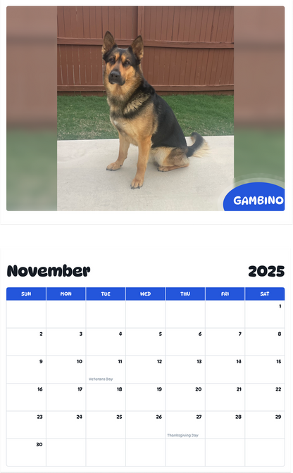 July 2025 - June 2026 Gambino - Pawidols Pet Calendar