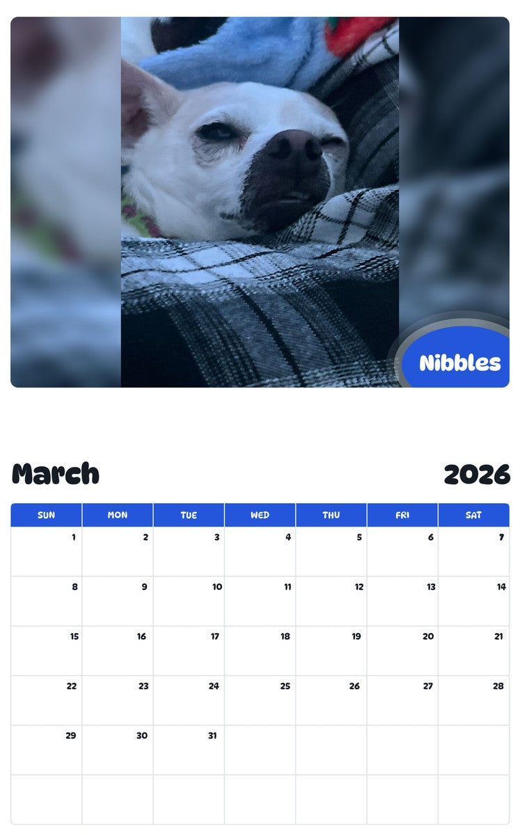 November 2025 - October 2026 Nibbles - Pawidols Pet Calendar