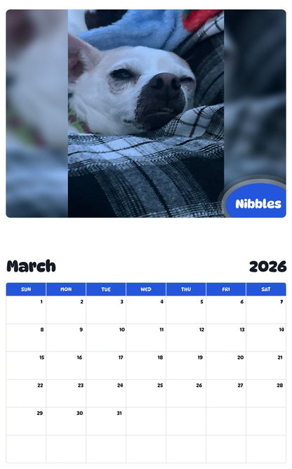 November 2025 - October 2026 Nibbles - Pawidols Pet Calendar