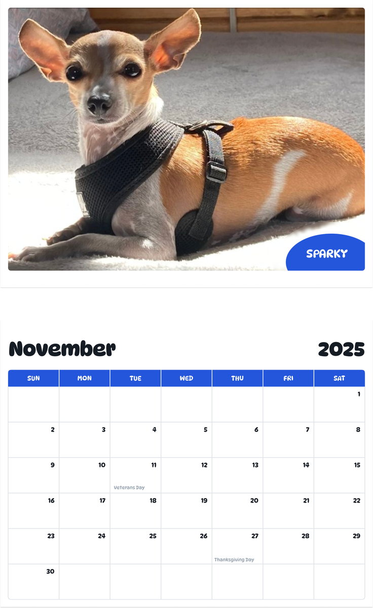 July 2025 - June 2026 Sparky - Pawidols Pet Calendar