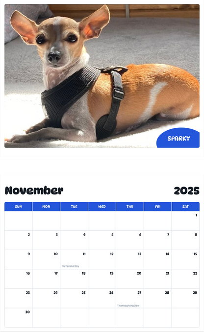 July 2025 - June 2026 Sparky - Pawidols Pet Calendar