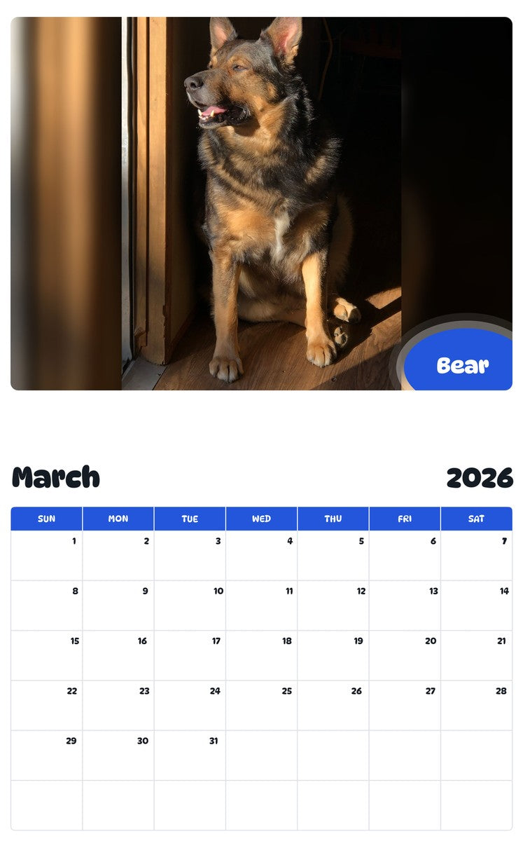 November 2025 - October 2026 Bear - Pawidols Pet Calendar