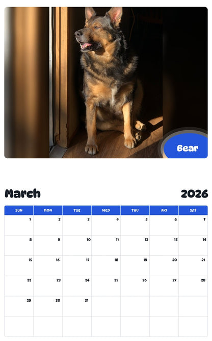 November 2025 - October 2026 Bear - Pawidols Pet Calendar