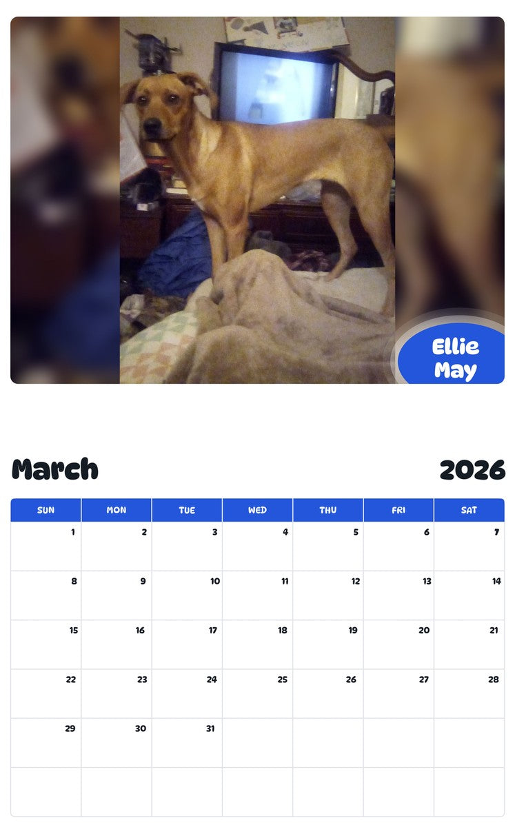 November 2025 - October 2026 Ellie May - Pawidols Pet Calendar