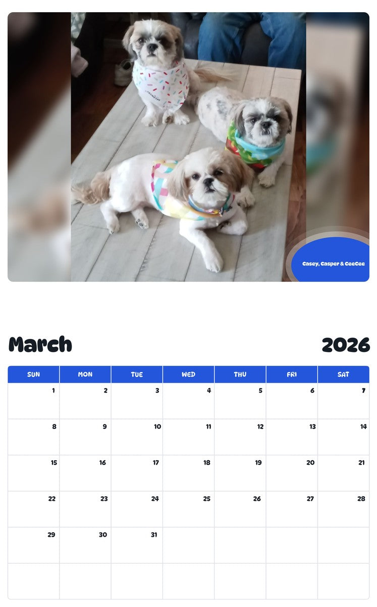 November 2025 - October 2026 Casey, Casper & CeeCee - Pawidols Pet Calendar
