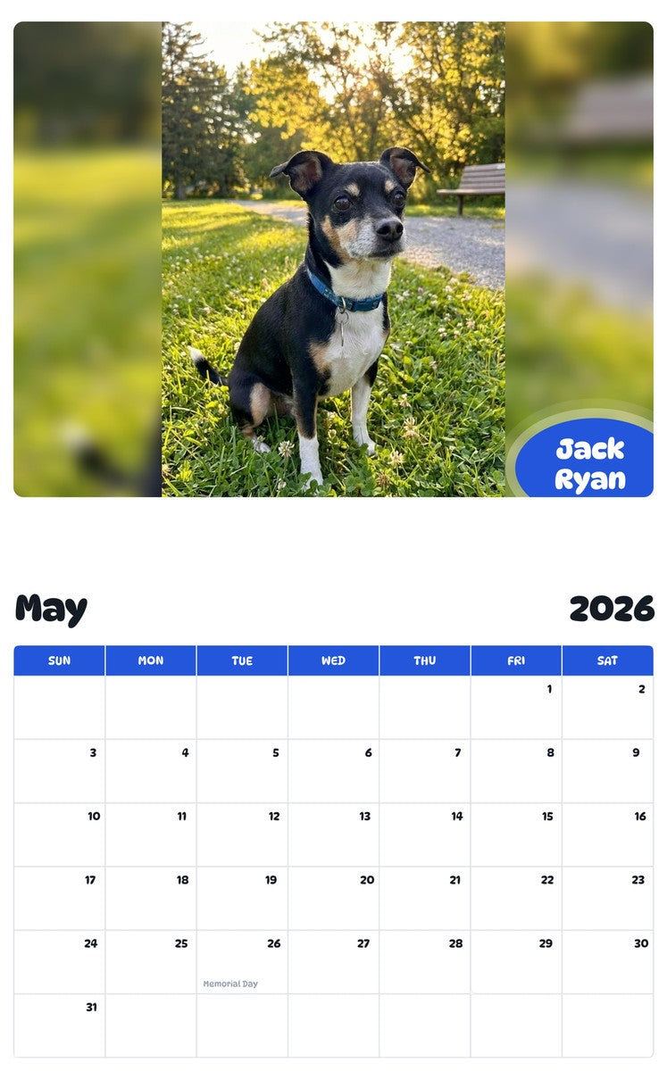 2026 - 2027 Jack Ryan - Pawidols Pet Calendar