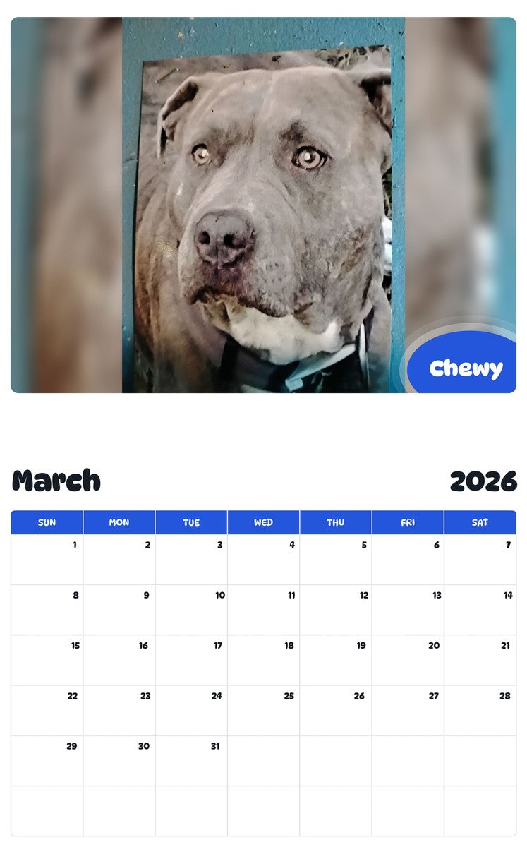 November 2025 - October 2026 Chewy - Pawidols Pet Calendar