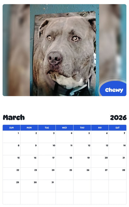 November 2025 - October 2026 Chewy - Pawidols Pet Calendar
