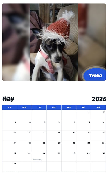 2026 - 2027 Trixie - Pawidols Pet Calendar