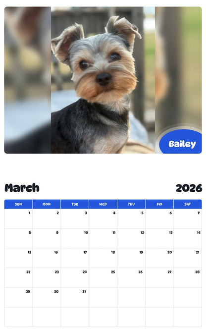 November 2025 - October 2026 Bailey - Pawidols Pet Calendar