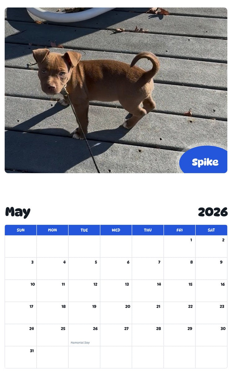 2026 - 2027 Spike - Pawidols Pet Calendar